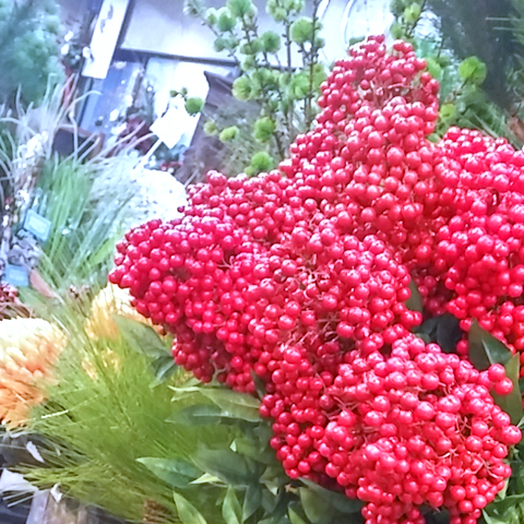 店舗いけこみ、定期装花